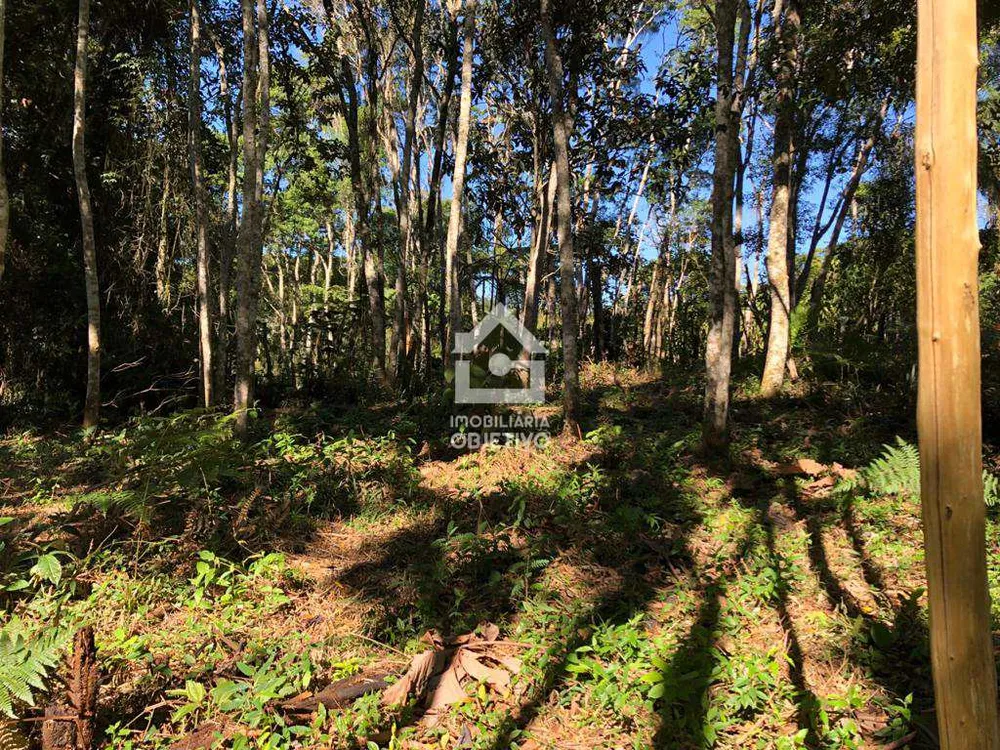 Terreno, 3000 m² - Foto 1