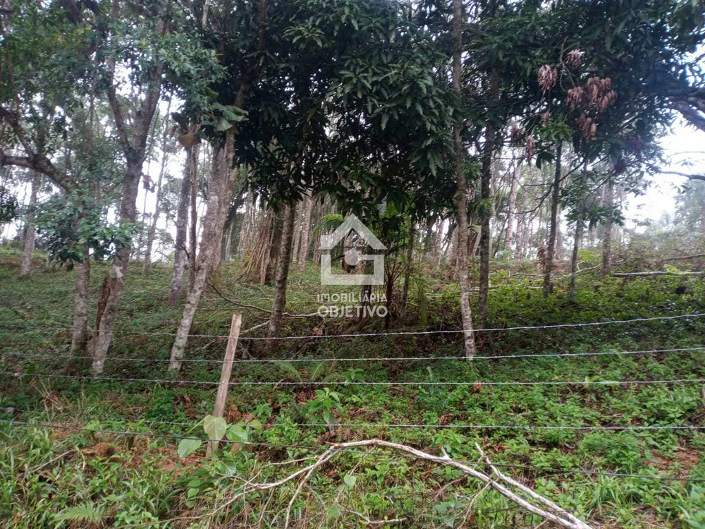 Terreno, 3000 m² - Foto 11