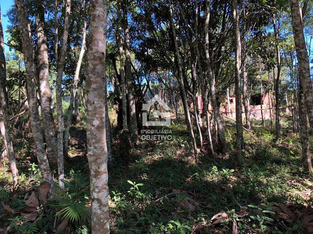 Terreno, 3000 m² - Foto 3