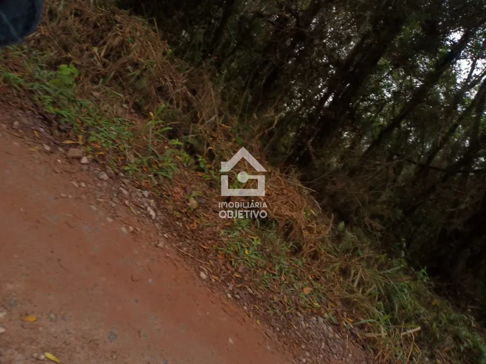 Terreno, 3000 m² - Foto 10