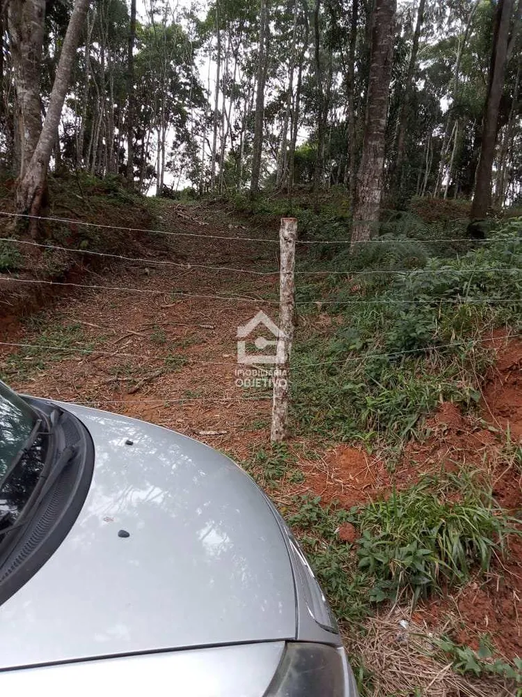 Terreno, 3000 m² - Foto 6