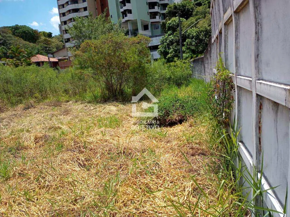 Terreno, 2100 m² - Foto 2