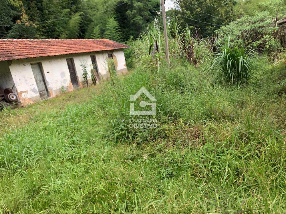Terreno, 6 hectares - Foto 3