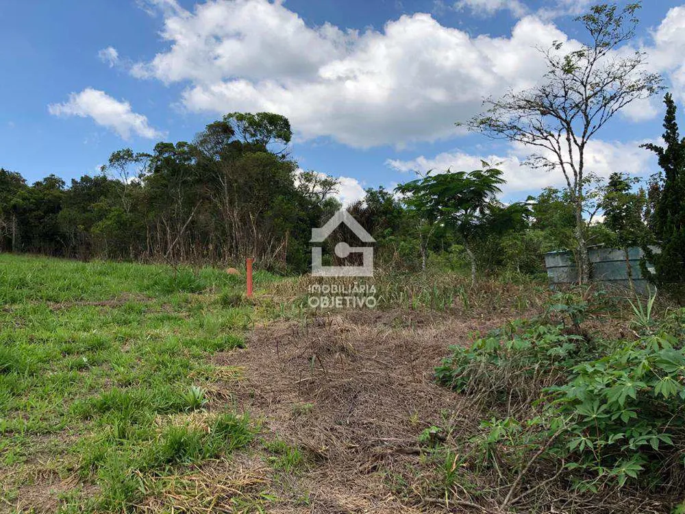 Terreno, 6 hectares - Foto 10