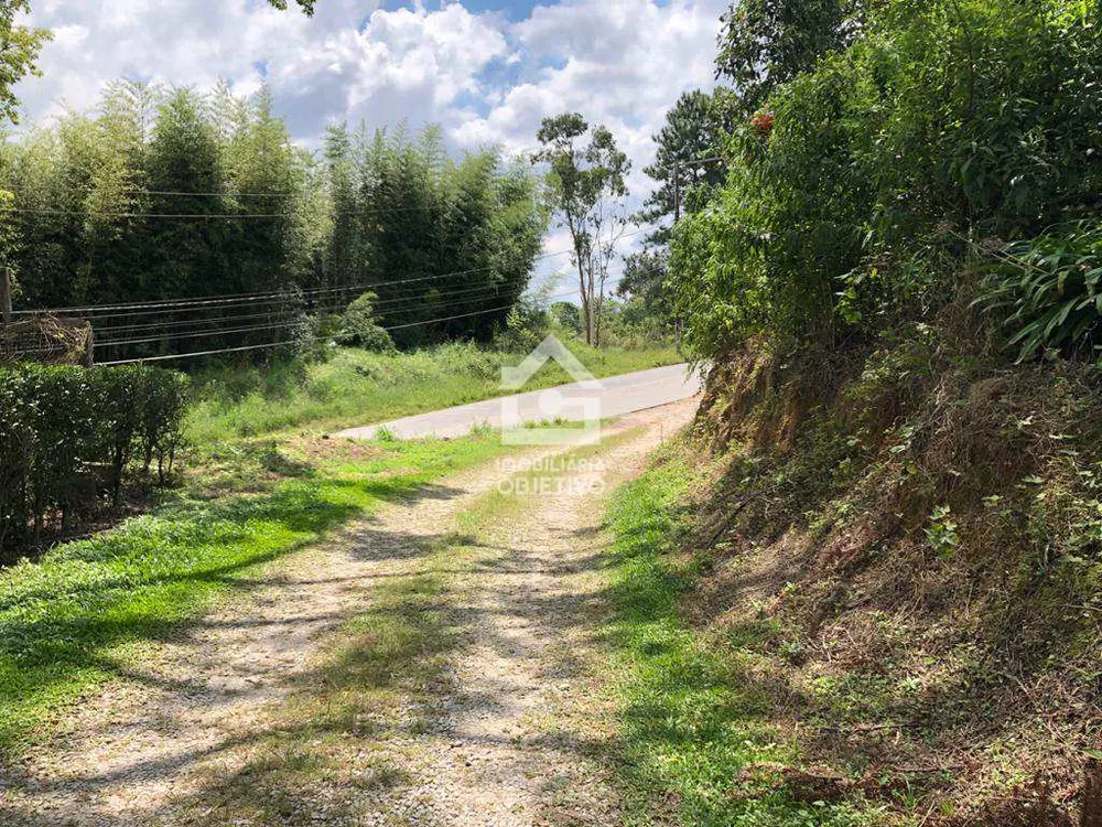 Terreno, 6 hectares - Foto 12