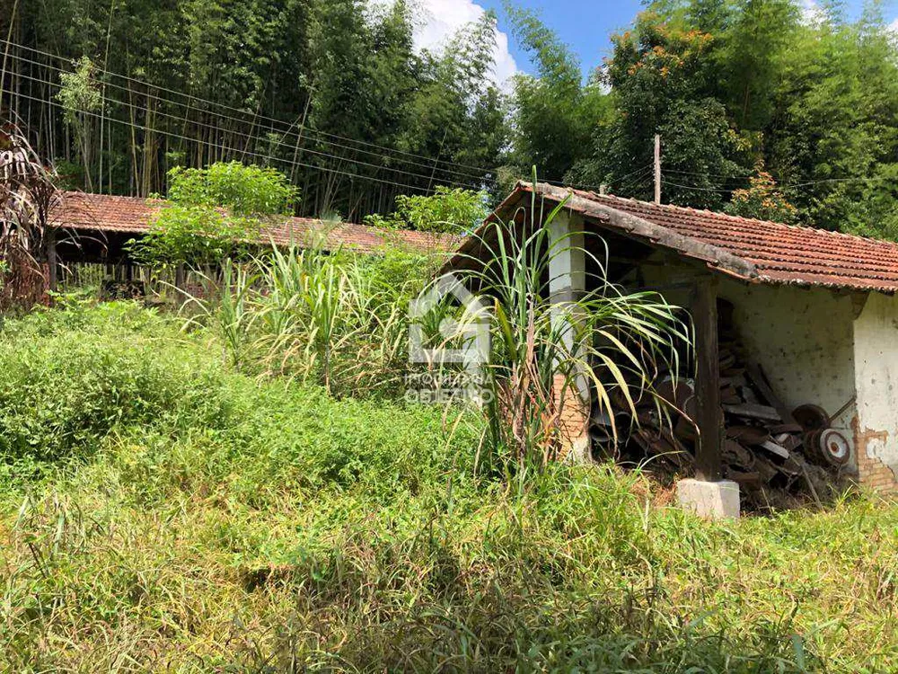 Terreno, 6 hectares - Foto 4