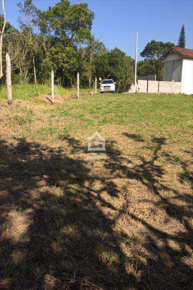 Terreno, 2 hectares - Foto 3