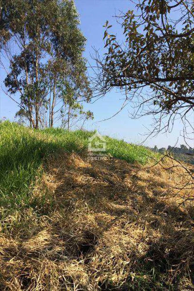 Terreno, 2 hectares - Foto 9