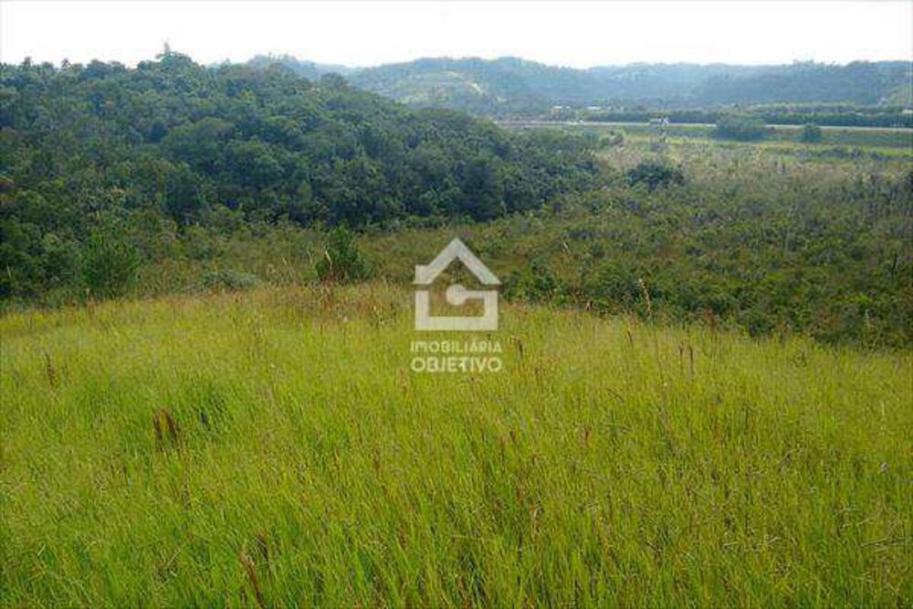 Terreno, 2 hectares - Foto 2