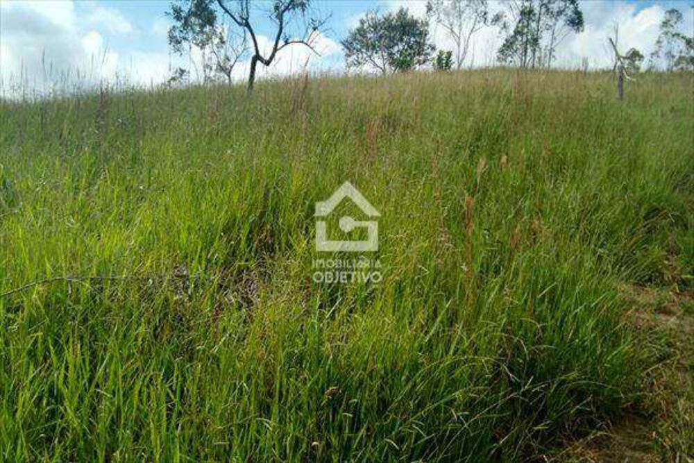 Terreno, 2 hectares - Foto 1