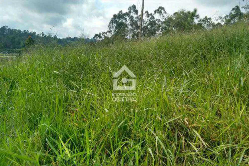Terreno, 2 hectares - Foto 2