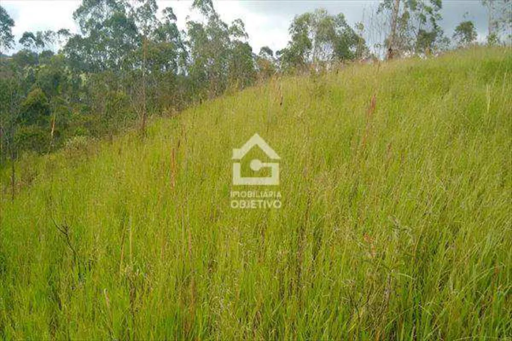 Terreno, 2 hectares - Foto 3