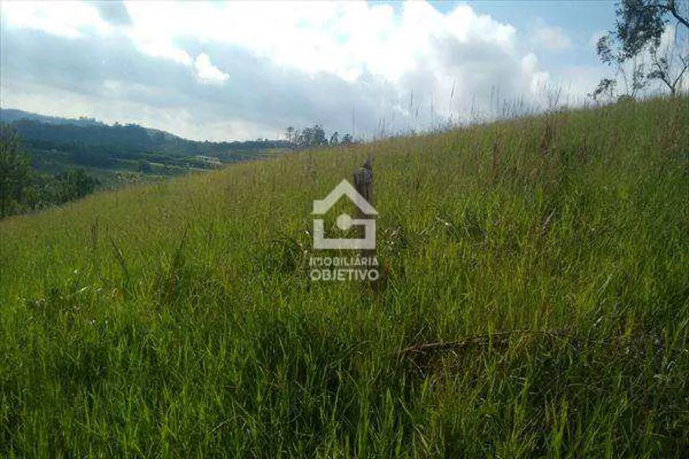 Terreno, 2 hectares - Foto 6