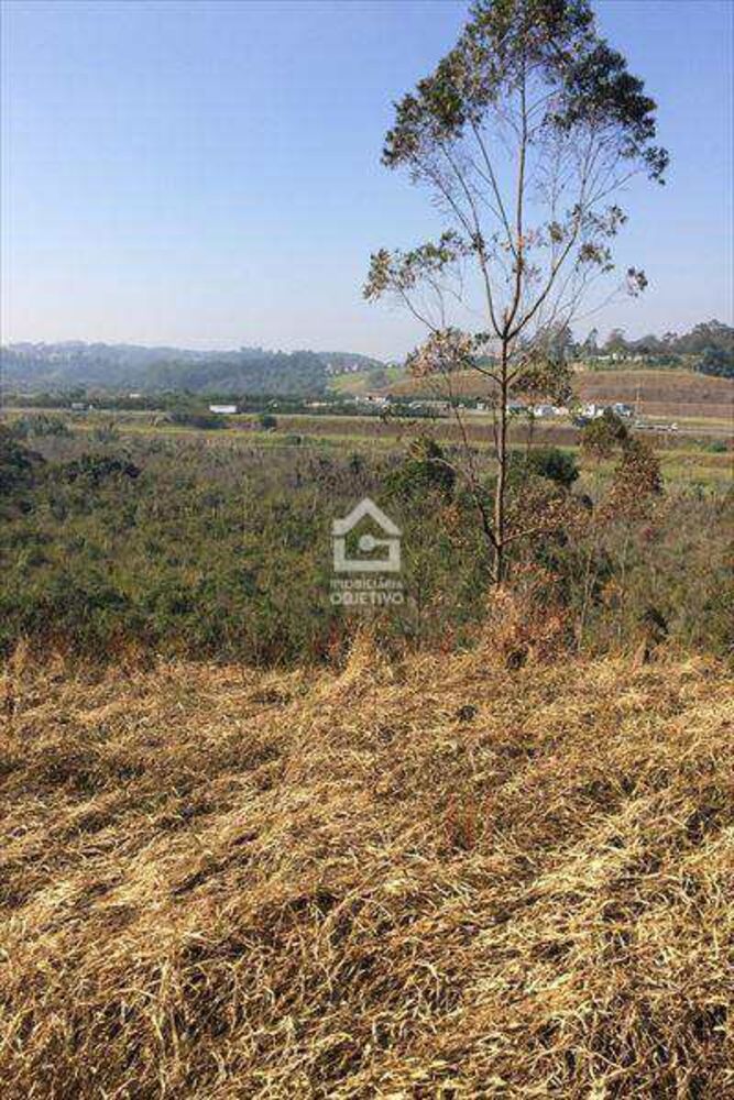 Terreno, 2 hectares - Foto 4
