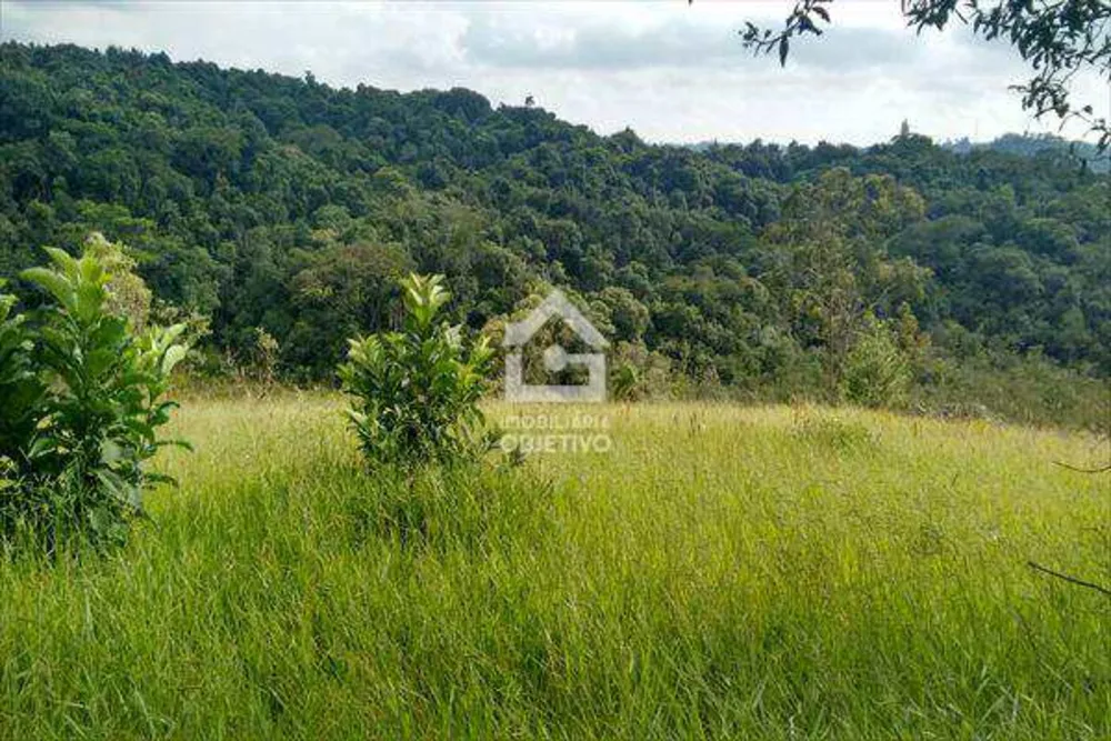 Terreno, 2 hectares - Foto 1