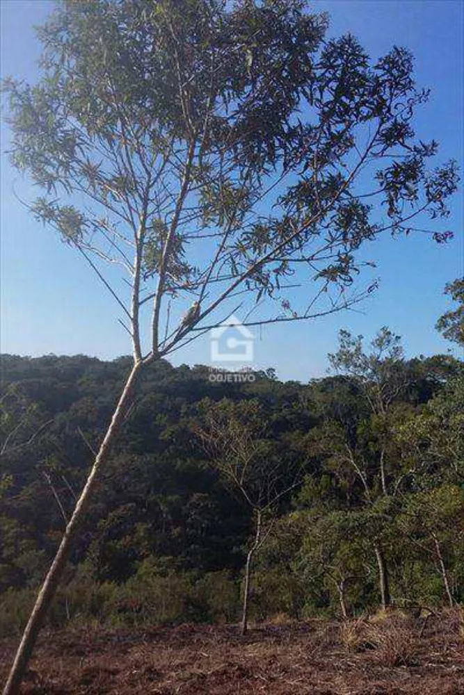 Chácara - Foto 1