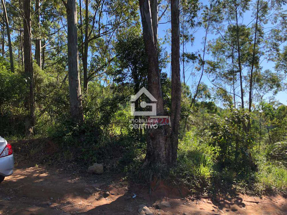 Terreno, 6 hectares - Foto 4