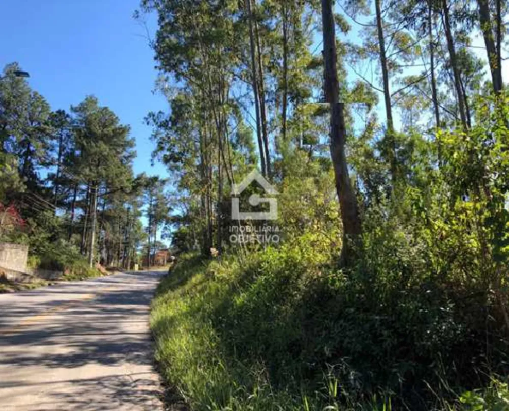 Terreno, 6 hectares - Foto 12