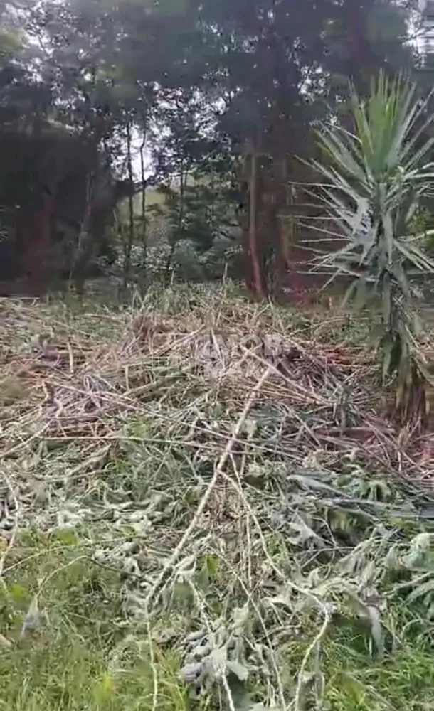 Terreno, 550 m² - Foto 1