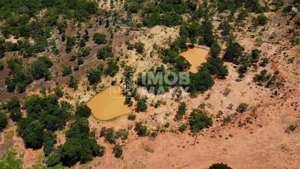 Fazenda à venda com 3 quartos, 333m² - Foto 6