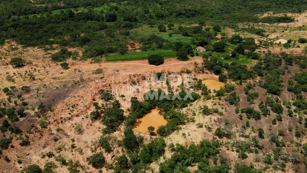 Fazenda à venda com 3 quartos, 333m² - Foto 7