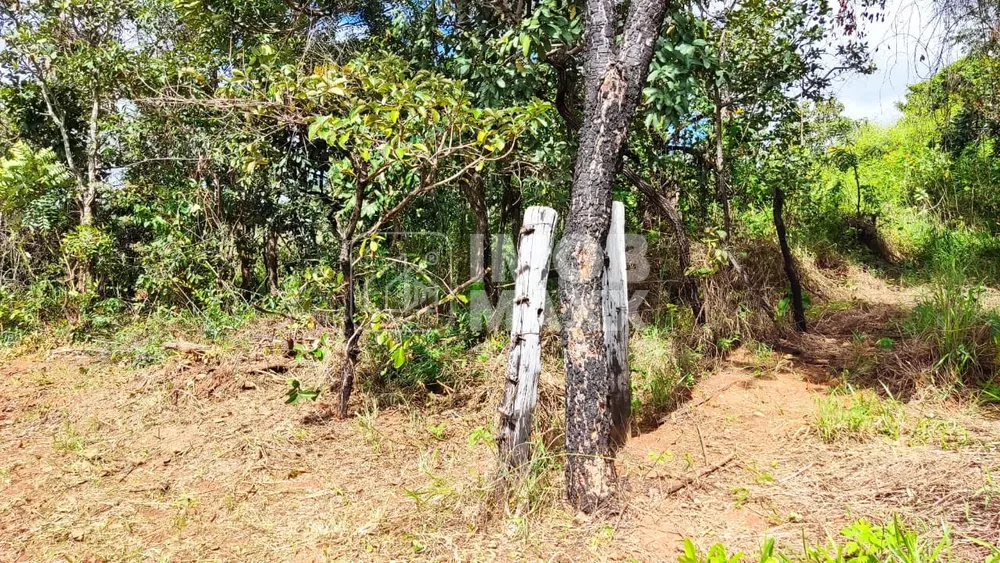 Chácara, 3 hectares - Foto 4