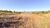 Chácara, 3 hectares - Foto 3