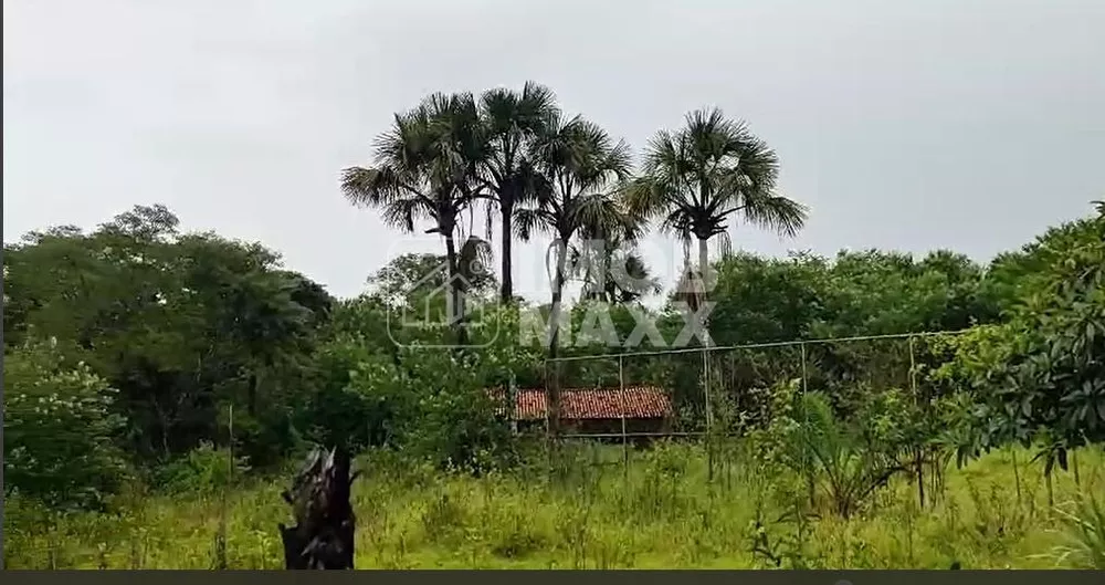 Chácara, 3 quartos, 6 hectares - Foto 3