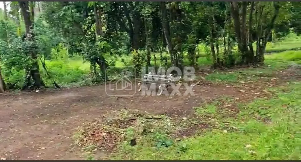 Chácara, 3 quartos, 6 hectares - Foto 7