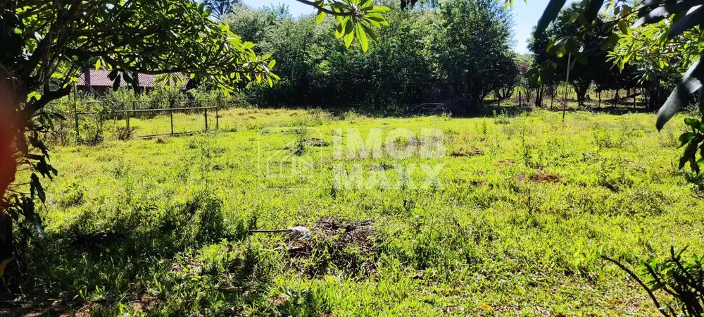 Chácara, 3 quartos, 6 hectares - Foto 10