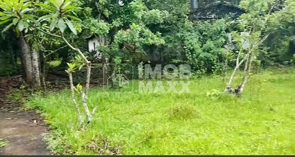 Chácara, 3 quartos, 6 hectares - Foto 4