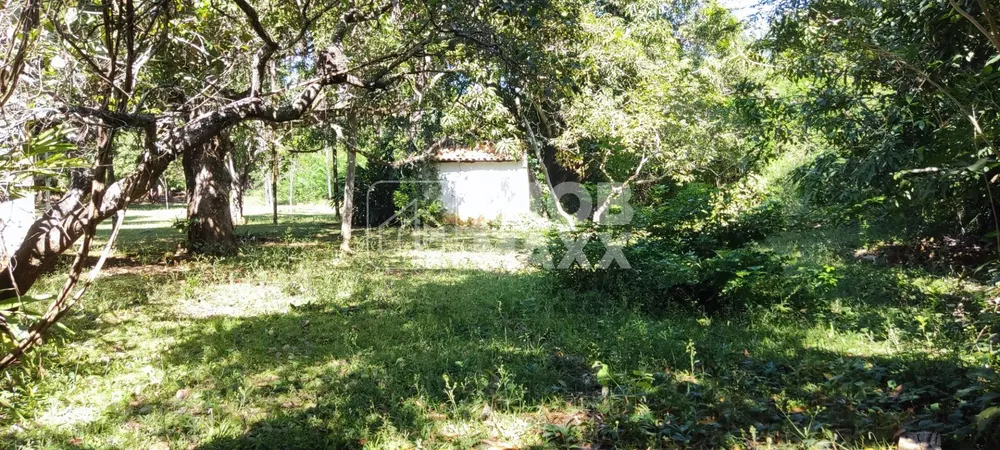 Chácara, 3 quartos, 6 hectares - Foto 24