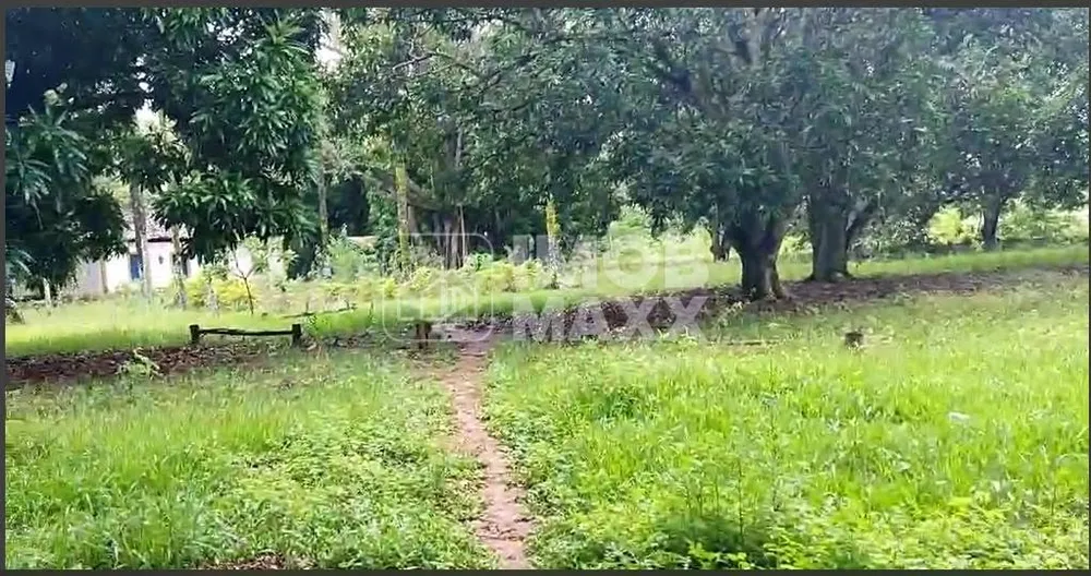 Chácara, 3 quartos, 6 hectares - Foto 8