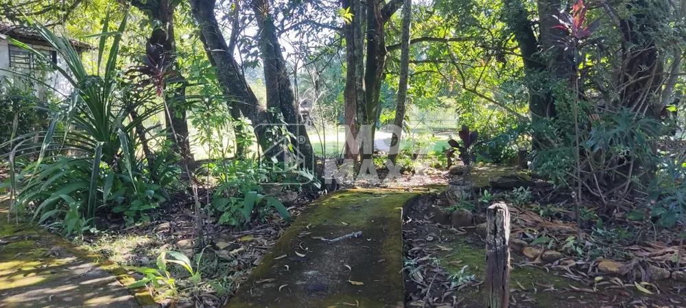 Chácara, 3 quartos, 6 hectares - Foto 16