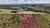 Chácara, 2 hectares - Foto 1