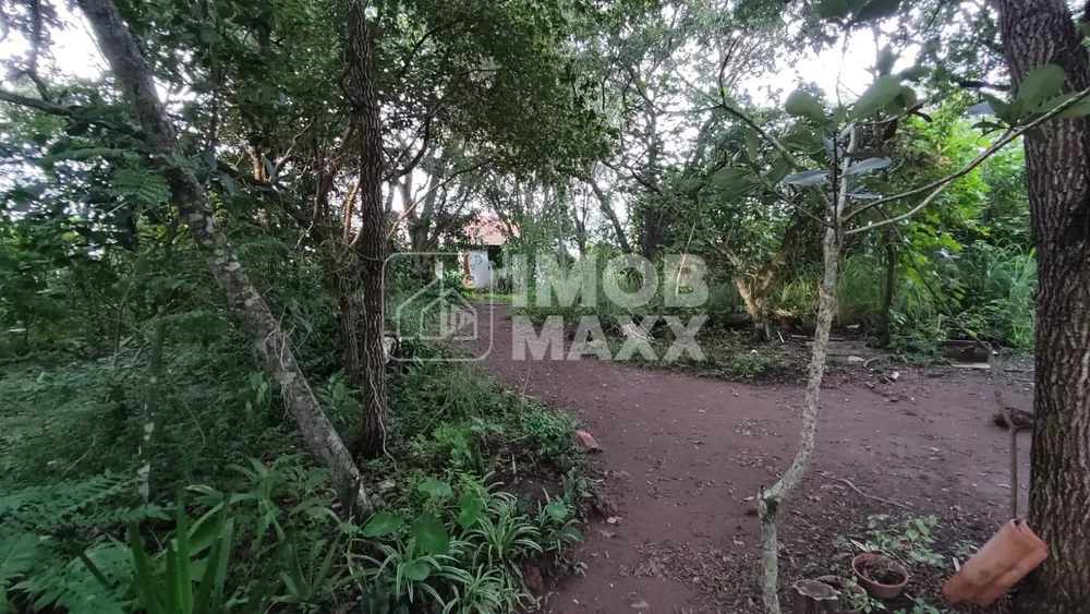 Chácara, 9 quartos, 3 hectares - Foto 24