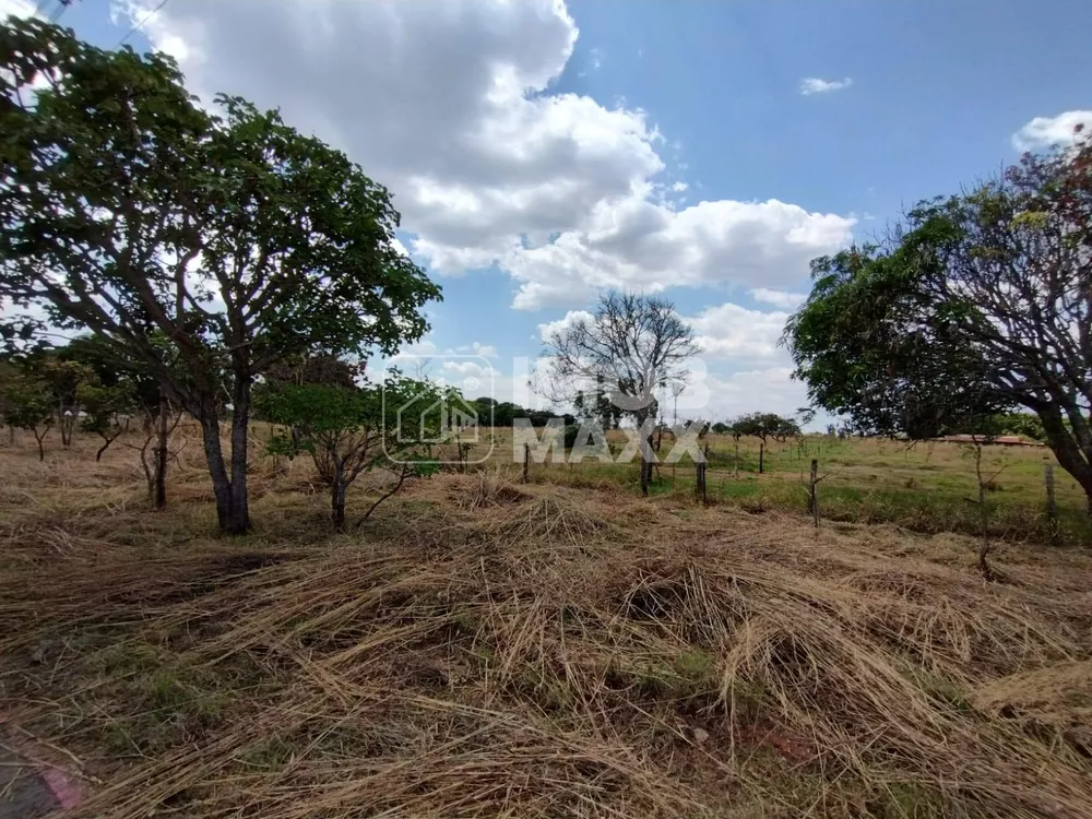 Terreno, 2 hectares - Foto 3