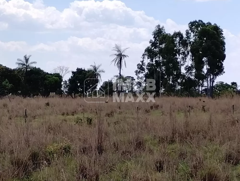 Terreno, 2 hectares - Foto 2