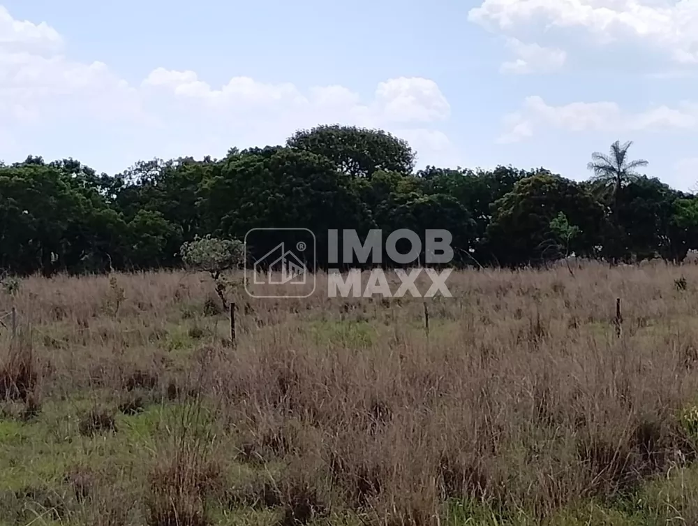 Terreno, 2 hectares - Foto 1