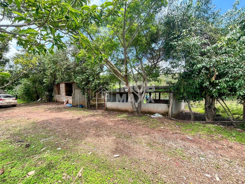 Chácara, 4 quartos, 35 hectares - Foto 16