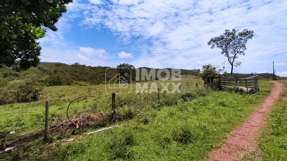 Chácara, 4 quartos, 35 hectares - Foto 37