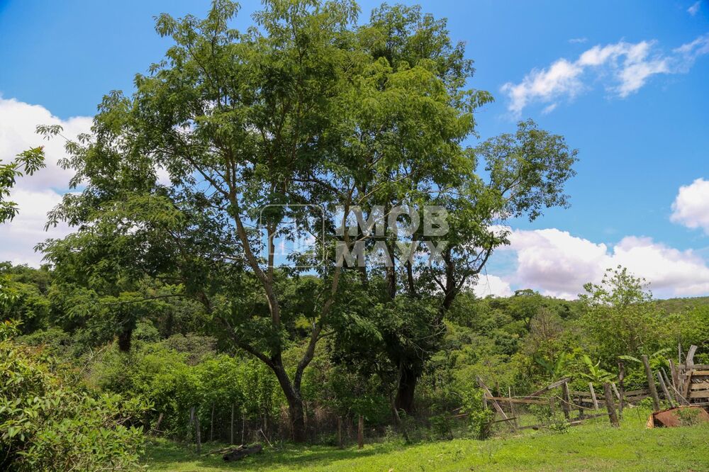 Chácara, 4 quartos, 35 hectares - Foto 65