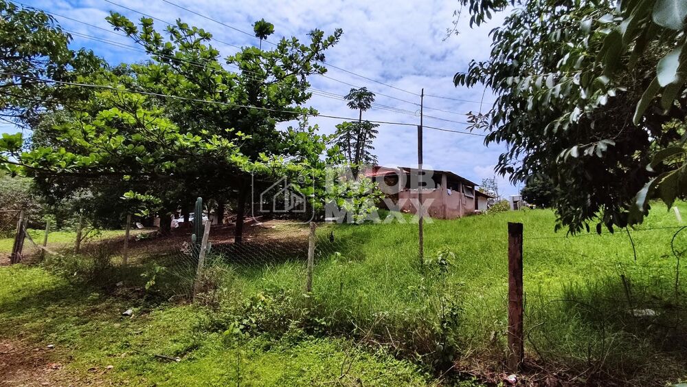 Chácara, 4 quartos, 35 hectares - Foto 21