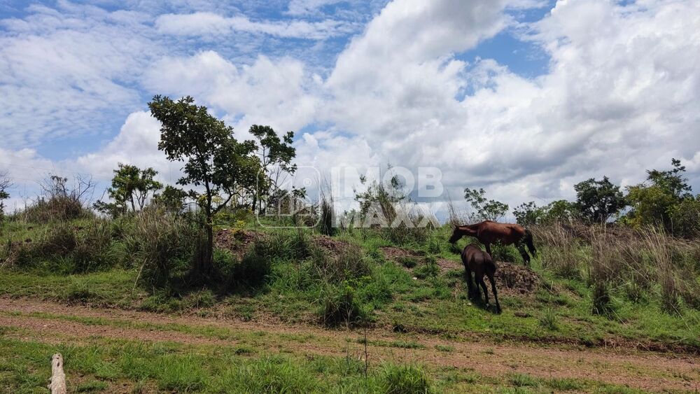 Chácara, 4 quartos, 35 hectares - Foto 27