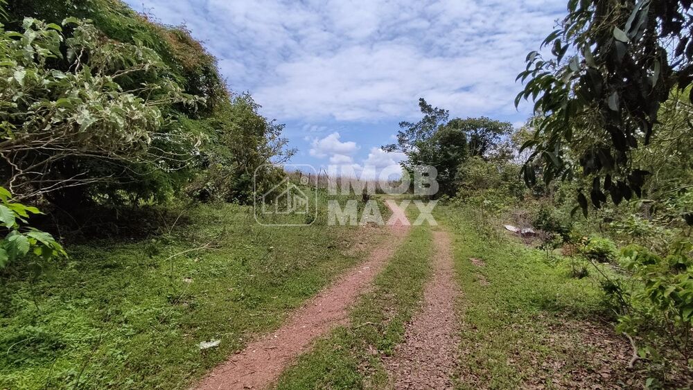 Chácara, 4 quartos, 35 hectares - Foto 52