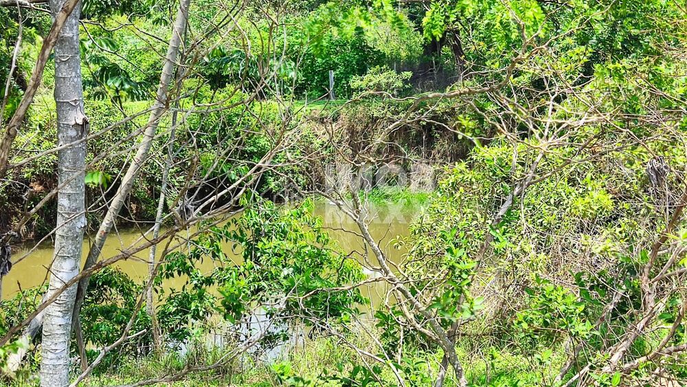 Chácara, 4 quartos, 35 hectares - Foto 54