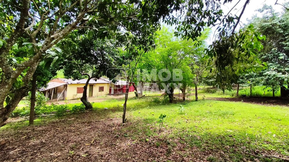 Chácara, 4 quartos, 35 hectares - Foto 23