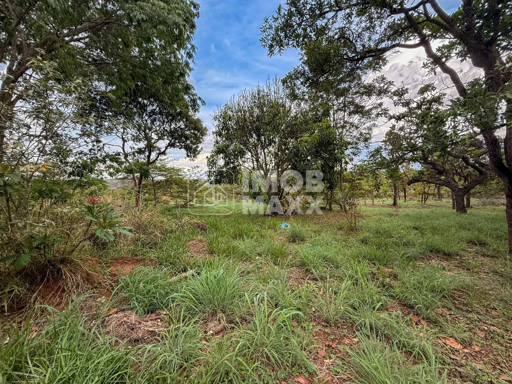 Chácara, 1 quarto, 2 hectares - Foto 11