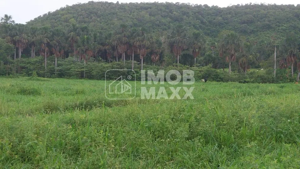 Fazenda, 5000 m² - Foto 6