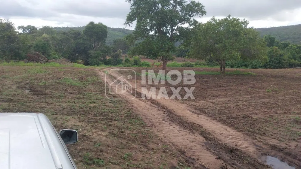 Fazenda, 5000 m² - Foto 5